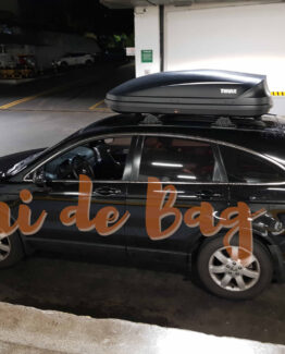 Bagageiro de teto Thule Pacific 200 410 litros honda crv